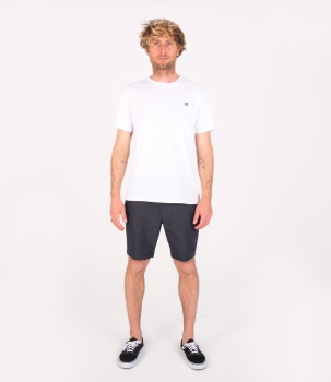 Produktbild Hurley H2O Dri Cole Walkshorts black schwarz Ansicht vorne getragen